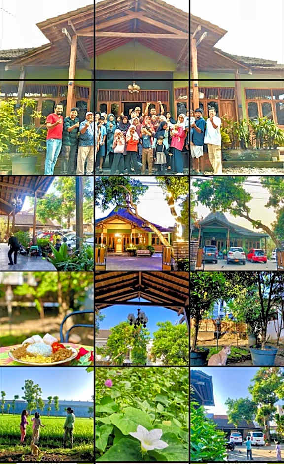 Sleepy Raccoon Hostel