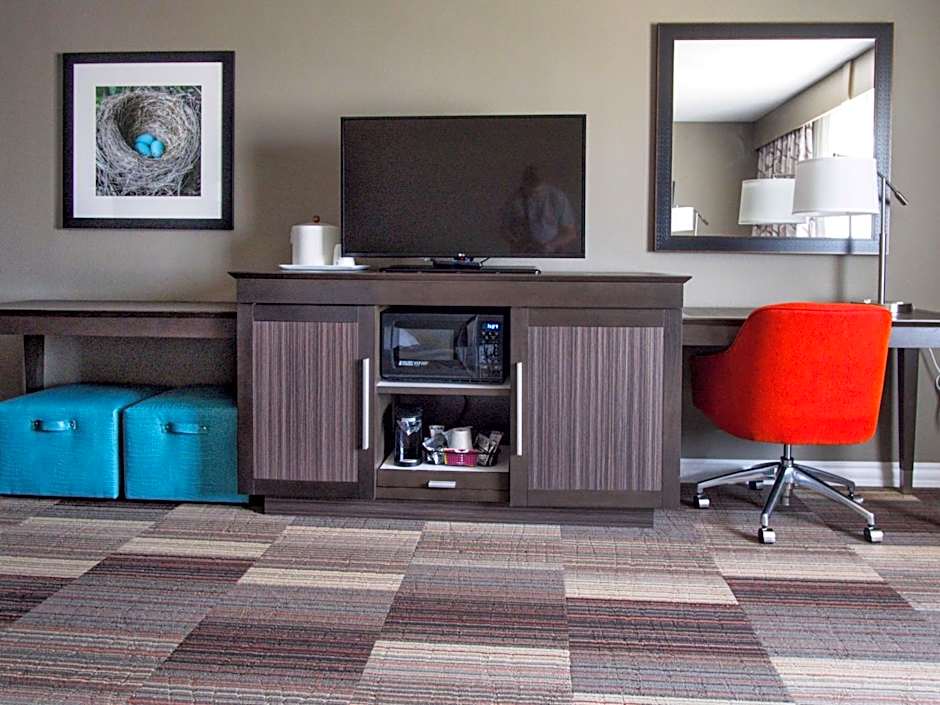 Hampton Inn By Hilton & Suites-Moore