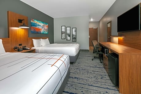 1 King Bed Non-Smoking