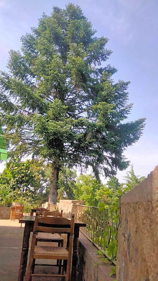 New Hostal Sant Llop