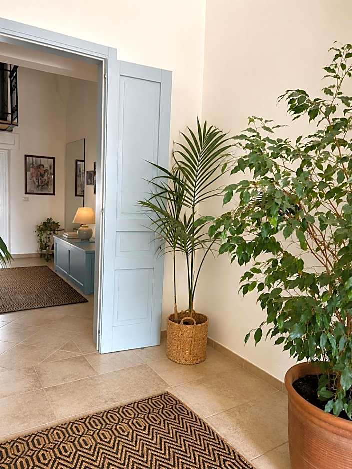 Canneddi Boutique Farm