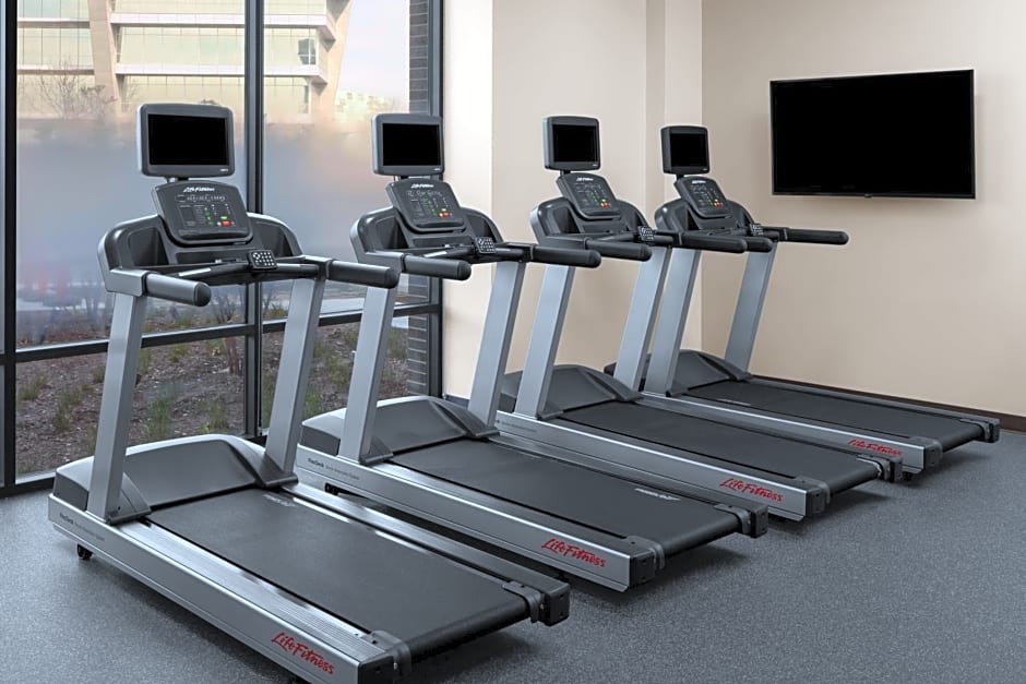 Hilton Garden Inn Grand Prairie at EpicCentral