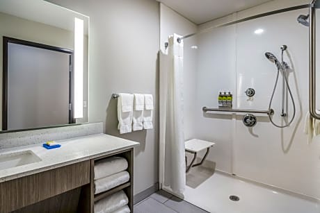 King Room with Hearing Accessible Roll In Shower - Non-Smoking
