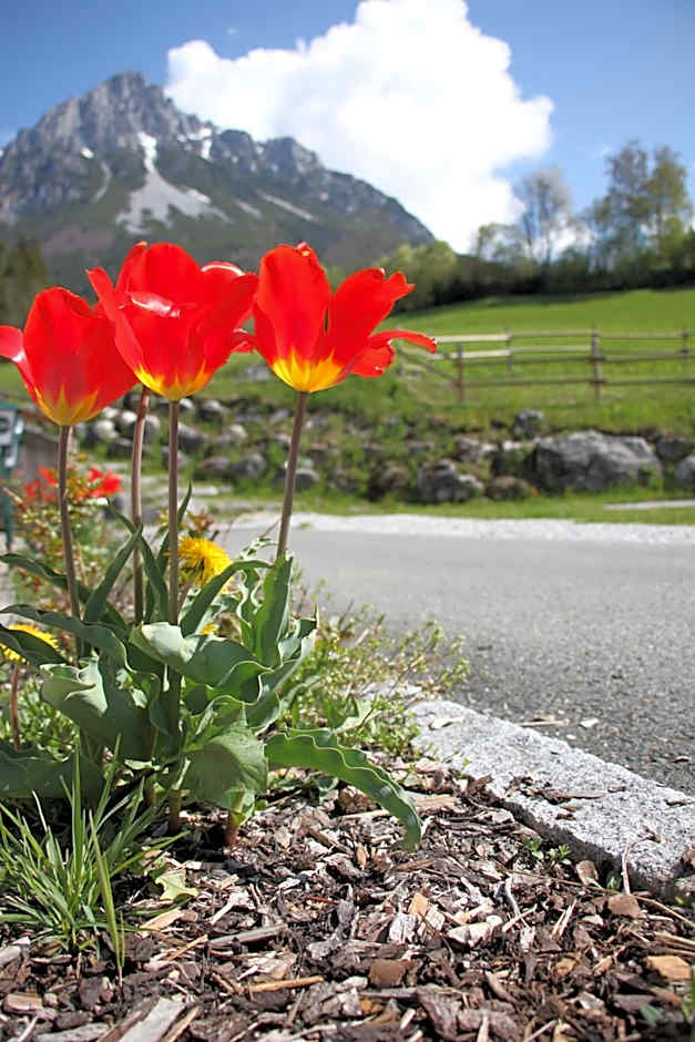 Grubhof Appartements