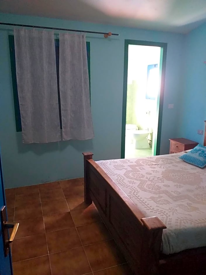 B&B Daillu