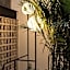 Paradise Flat Witgdl