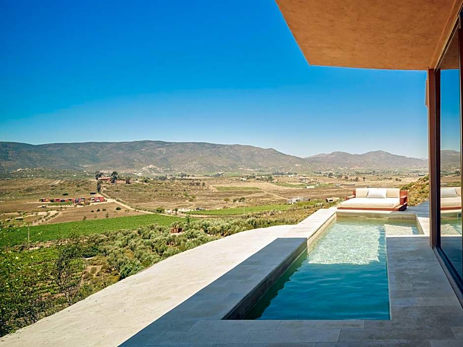 Banyan Tree Veya, Valle de Guadalupe