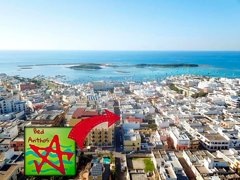 Bed Anthos Porto Cesareo
