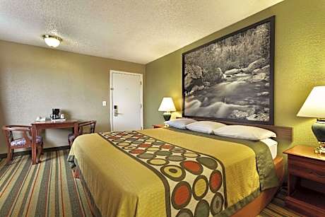 1 King Bed Non-Smoking