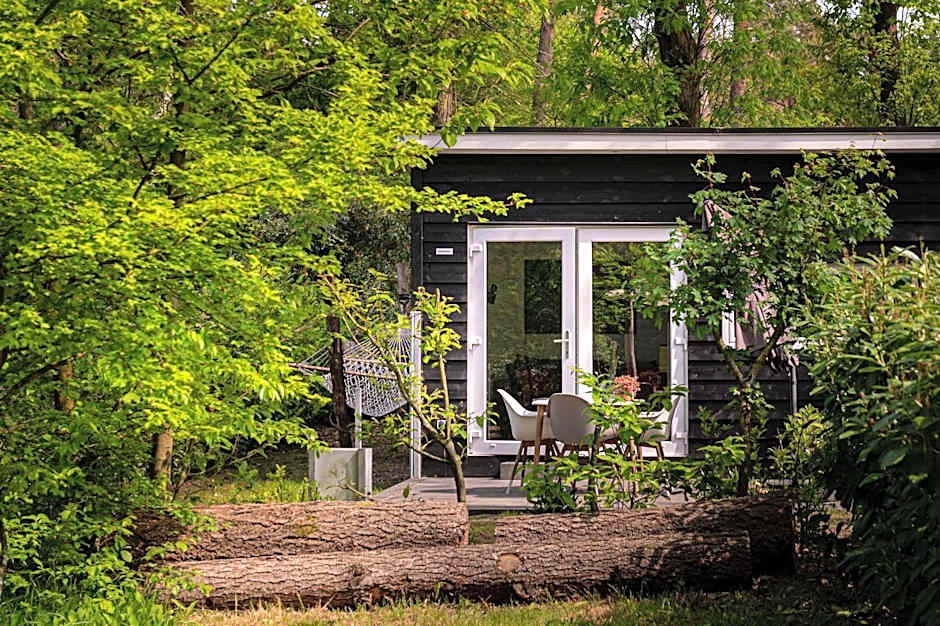 Tiny Damhert Veluwe Nature Escape