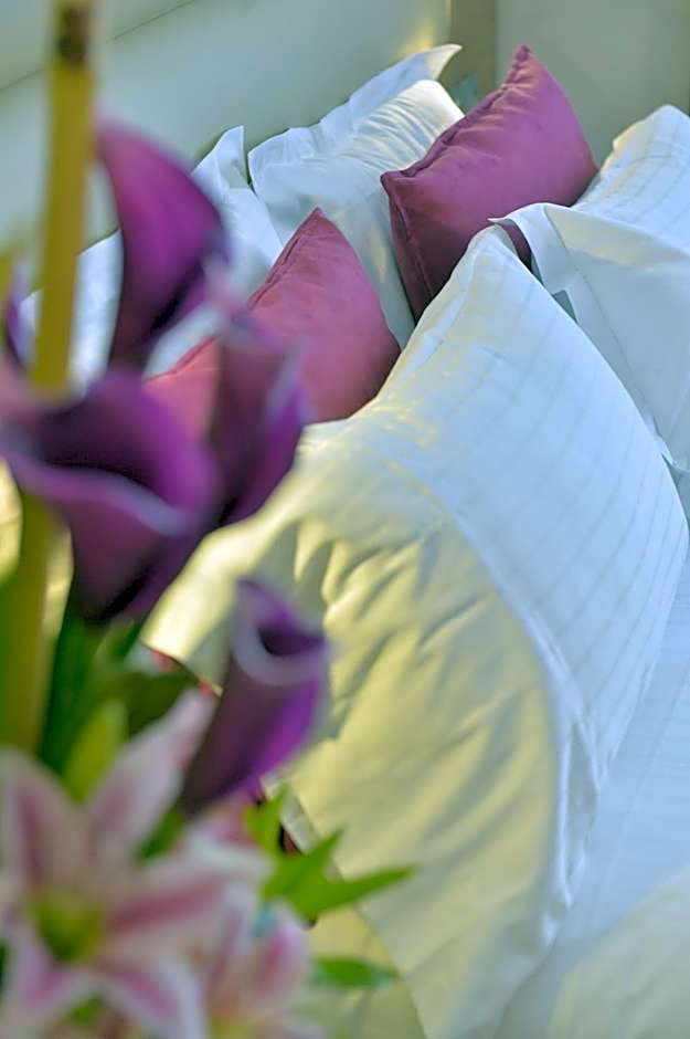 Unic Renoir Saint Germain