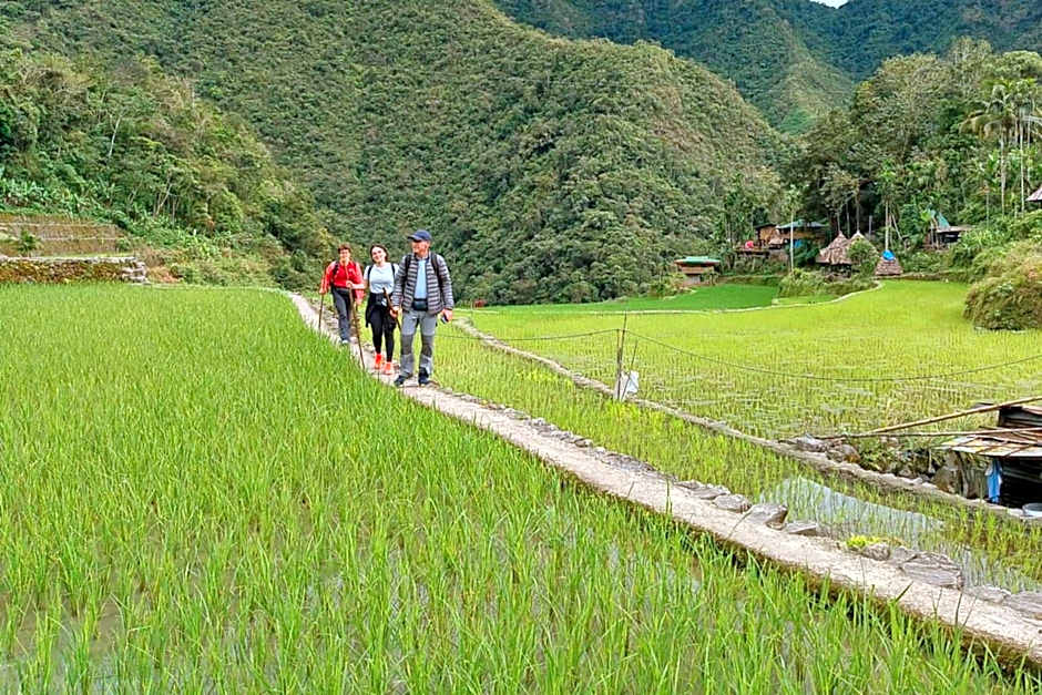 Hiwang Native House Inn & Viewdeck