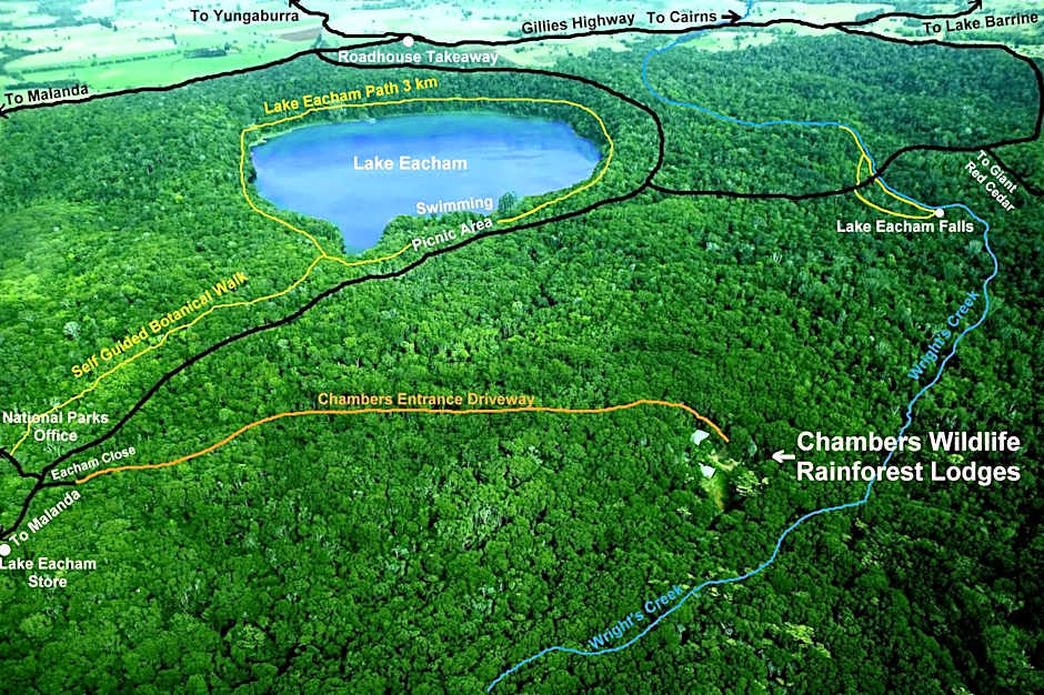 Chambers Wildlife Rainforest Lodges