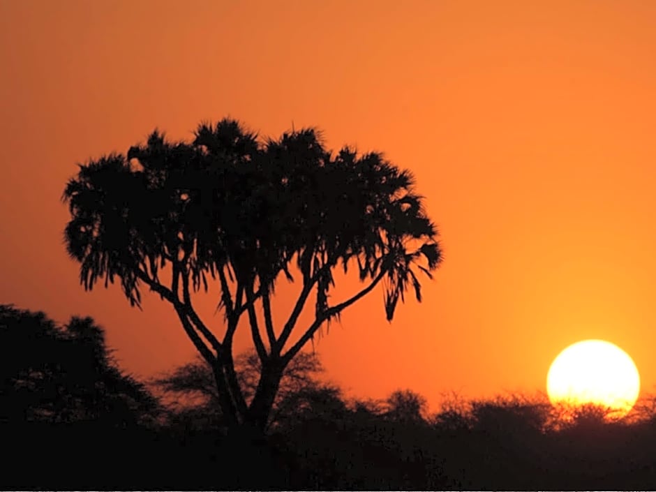 Sarova Shaba Game Lodge