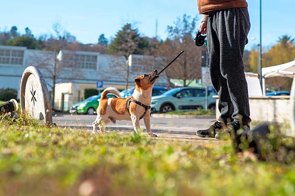 Hotel Residence Montelago