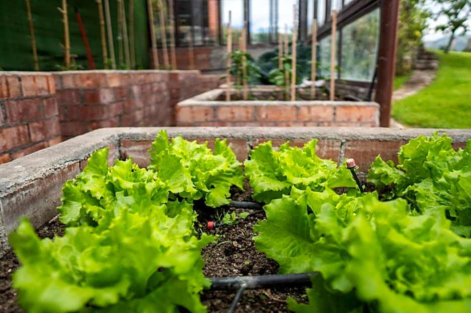 La Montaña Mágica Hotel Rural