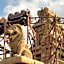 Disney Davy Crockett Ranch + Tickets