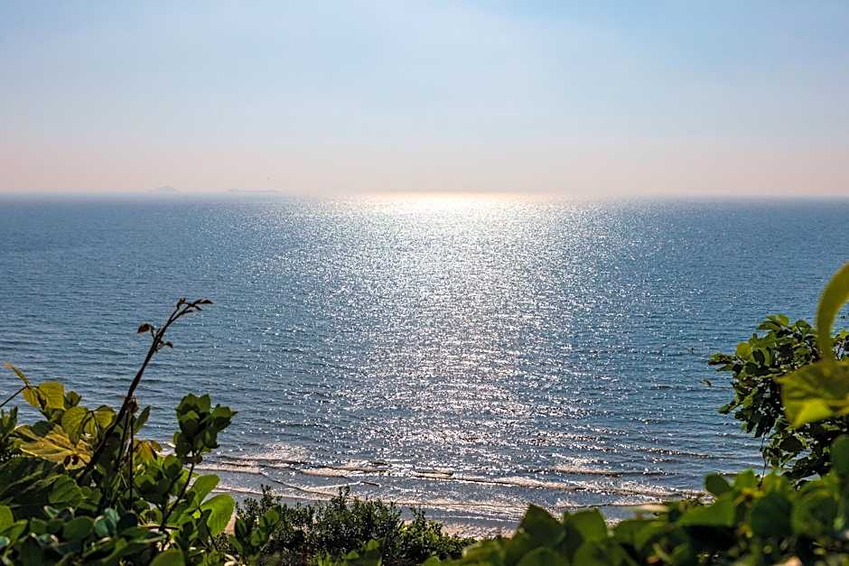 CozyCove Boutique Hotel