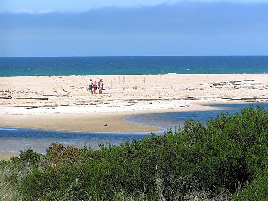 Scamander Tourist Park