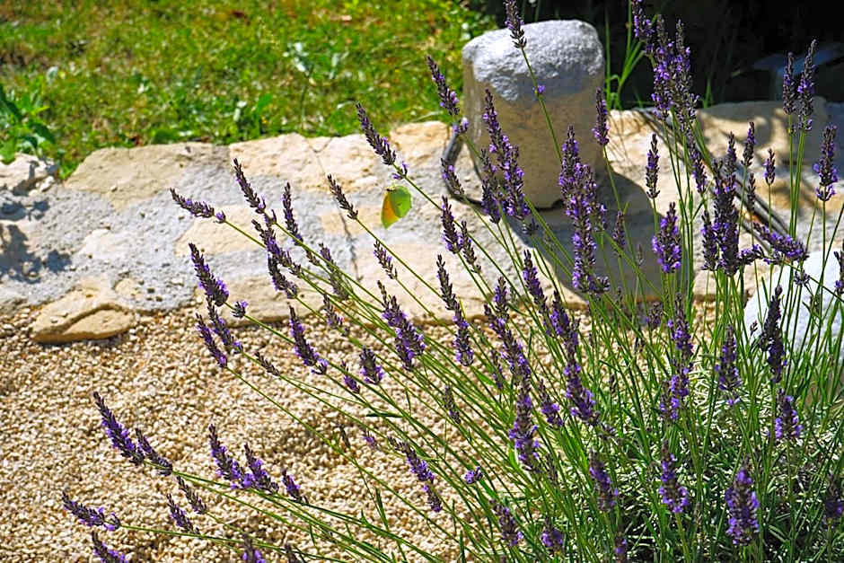 Les Terrasses du Luberon