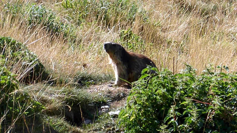 Résidence Les Ecrins