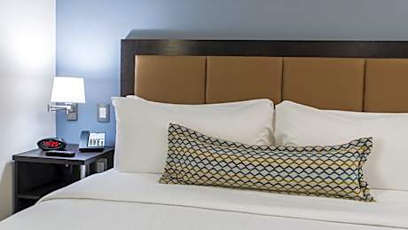 1 King Bed Studio Ste Con Bidet And Tub