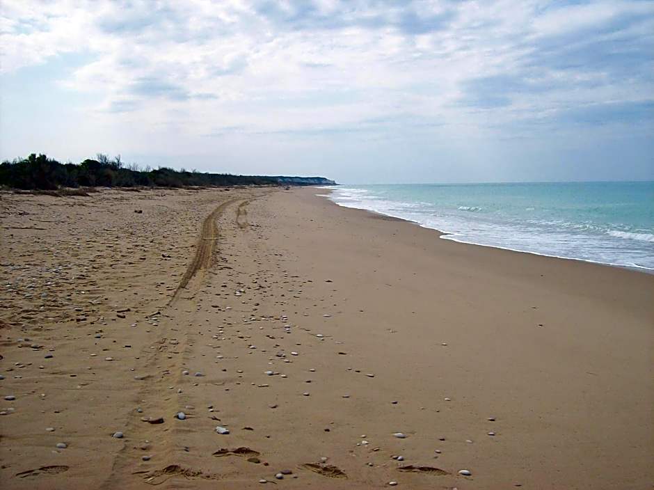 B&B Le Foglie D'Argento