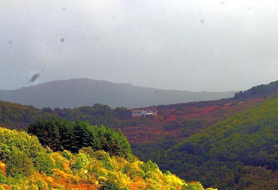 Hotel Rural Porta Coeli - Dehesa Santa Lucía