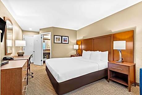 1 King Bed Suite Nonsmoking