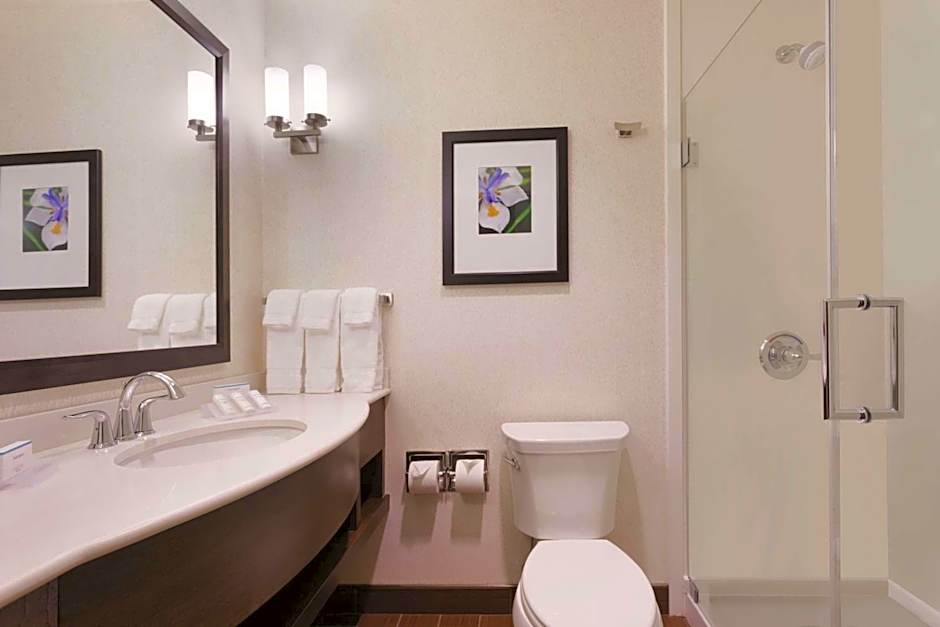 Hilton Garden Inn Rochester Downtown