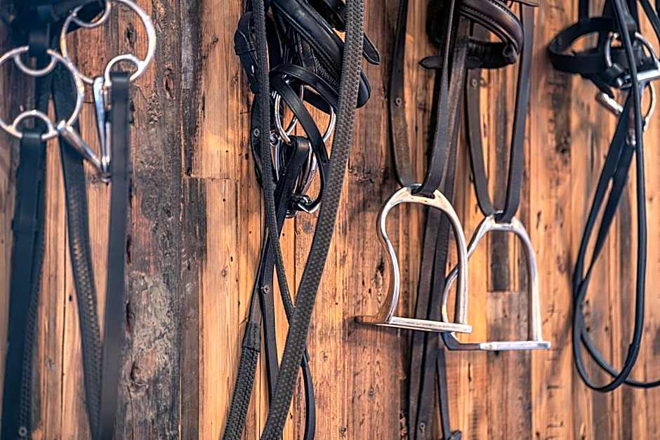 The Bold Hotel; BW Signature Collection