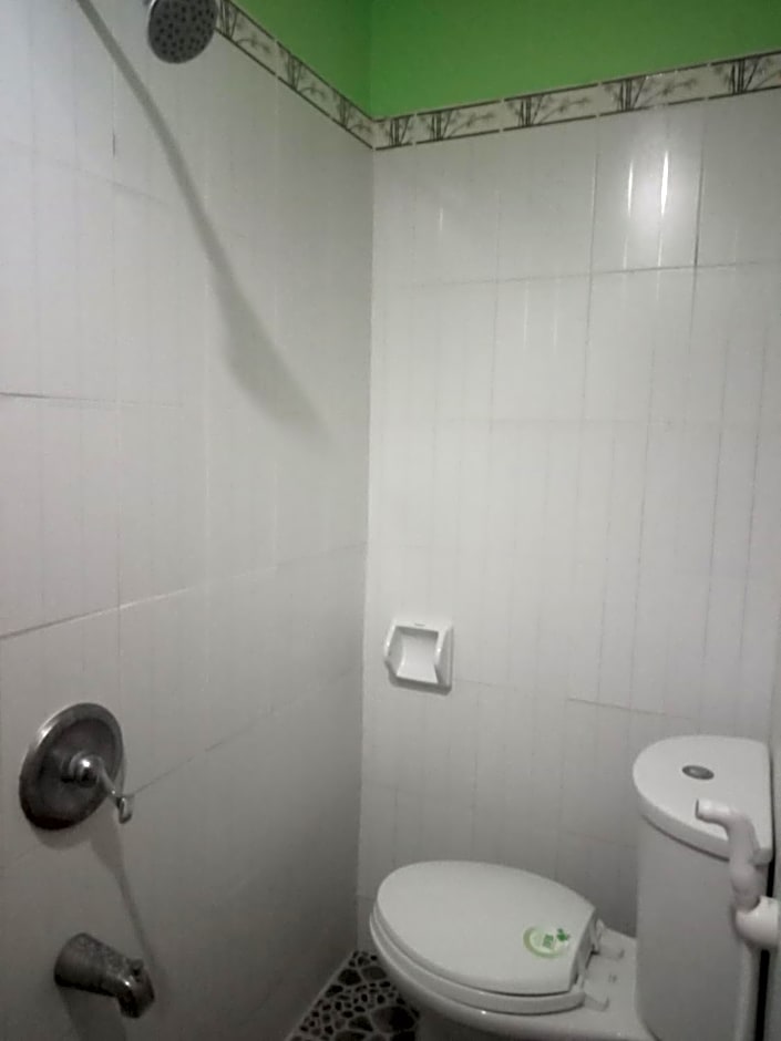 Vievan's transient house