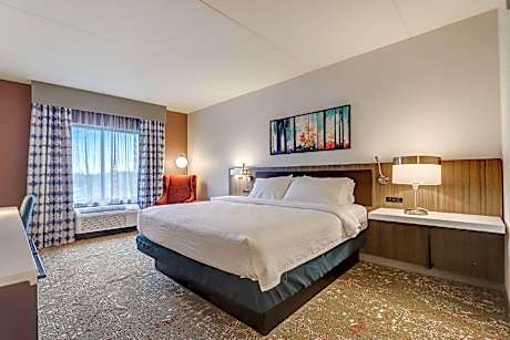1 King Bed