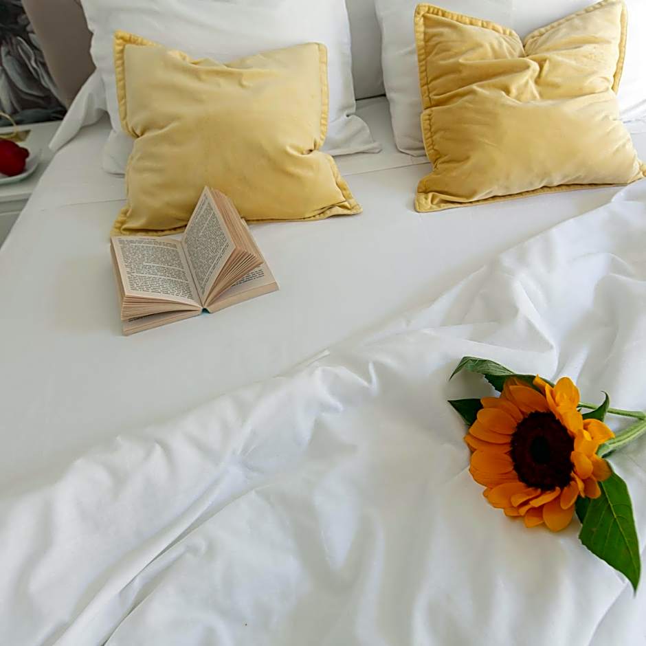 Veracruz Puerta del Sol