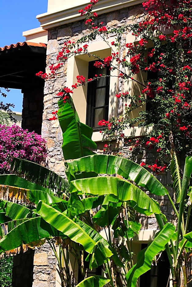 Zeytinada Hotel
