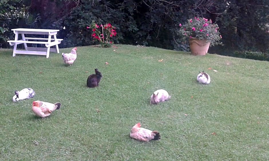 Villa La Croix Basque