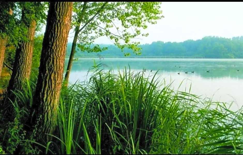 Aparthotel & Wohnung nur für Monteure am Norderteich