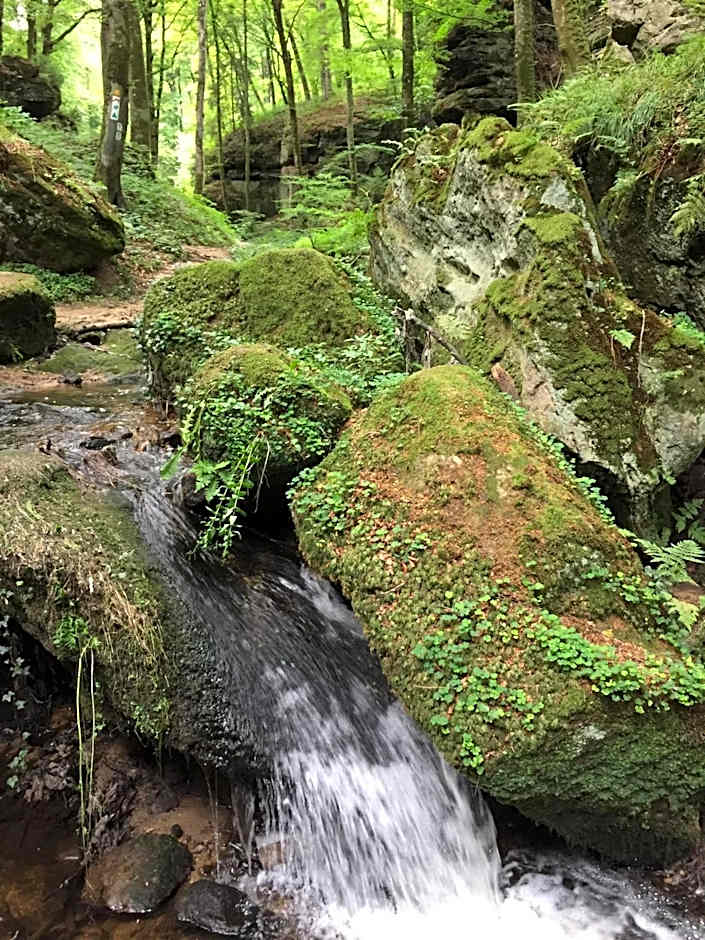 Hotel-Restaurant Dimmer - Mullerthal