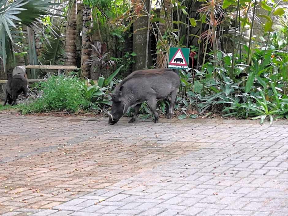St. Lucia Wetlands Guest House
