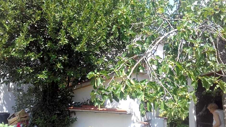 La Casetta Dei Cedri