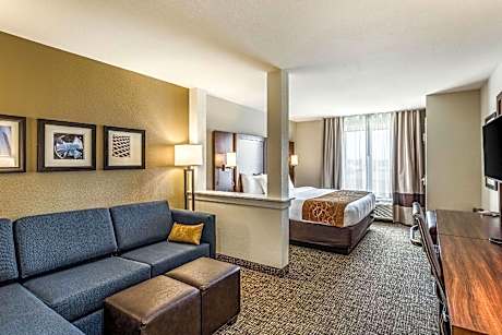 1 King Bed, Suite, Nonsmoking, Accessible