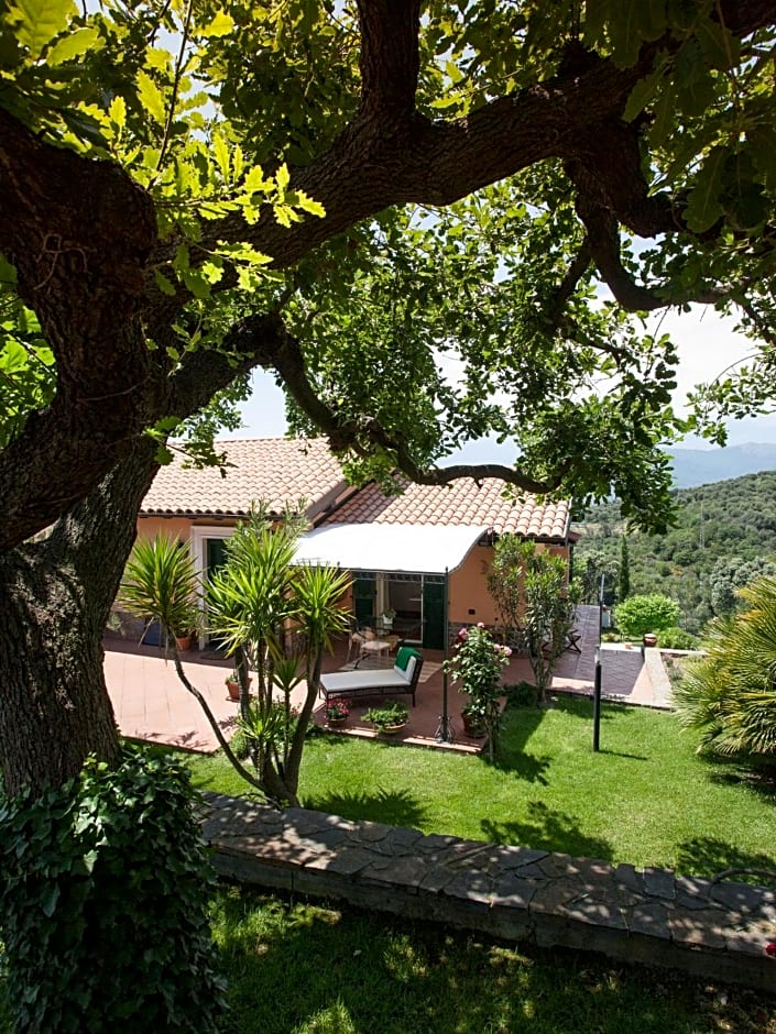 Il Mirto B&B