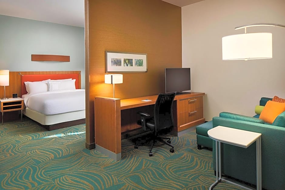 SpringHill Suites by Marriott Houston Downtown/Convention Center