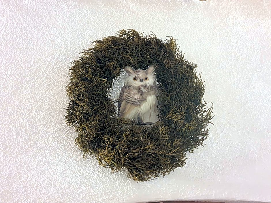 Antica casa occitana