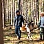 Lapland Hotels Hetta