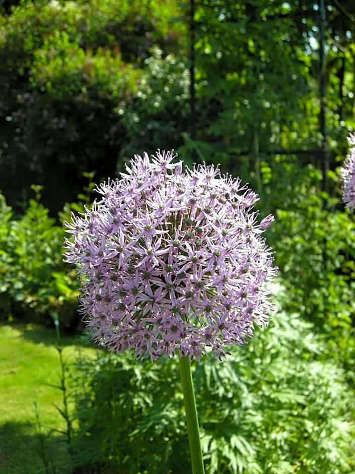 Motts Bed & Breakfast