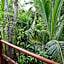 Solez Zihuatanejo