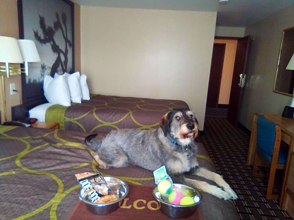 Super 8 by Wyndham Carson City