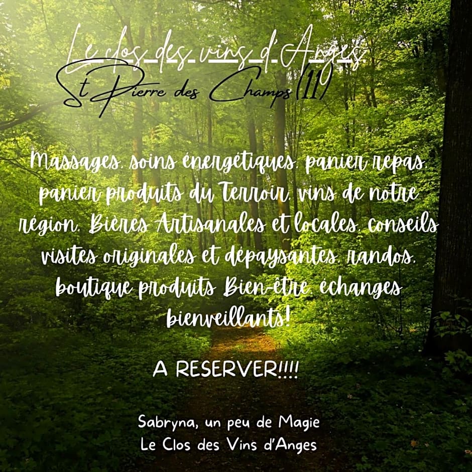 Chambres d hôtes Le clos des vins d anges