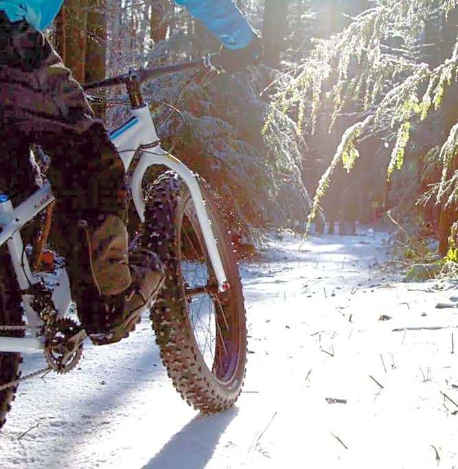 Initial / Solden / MSA